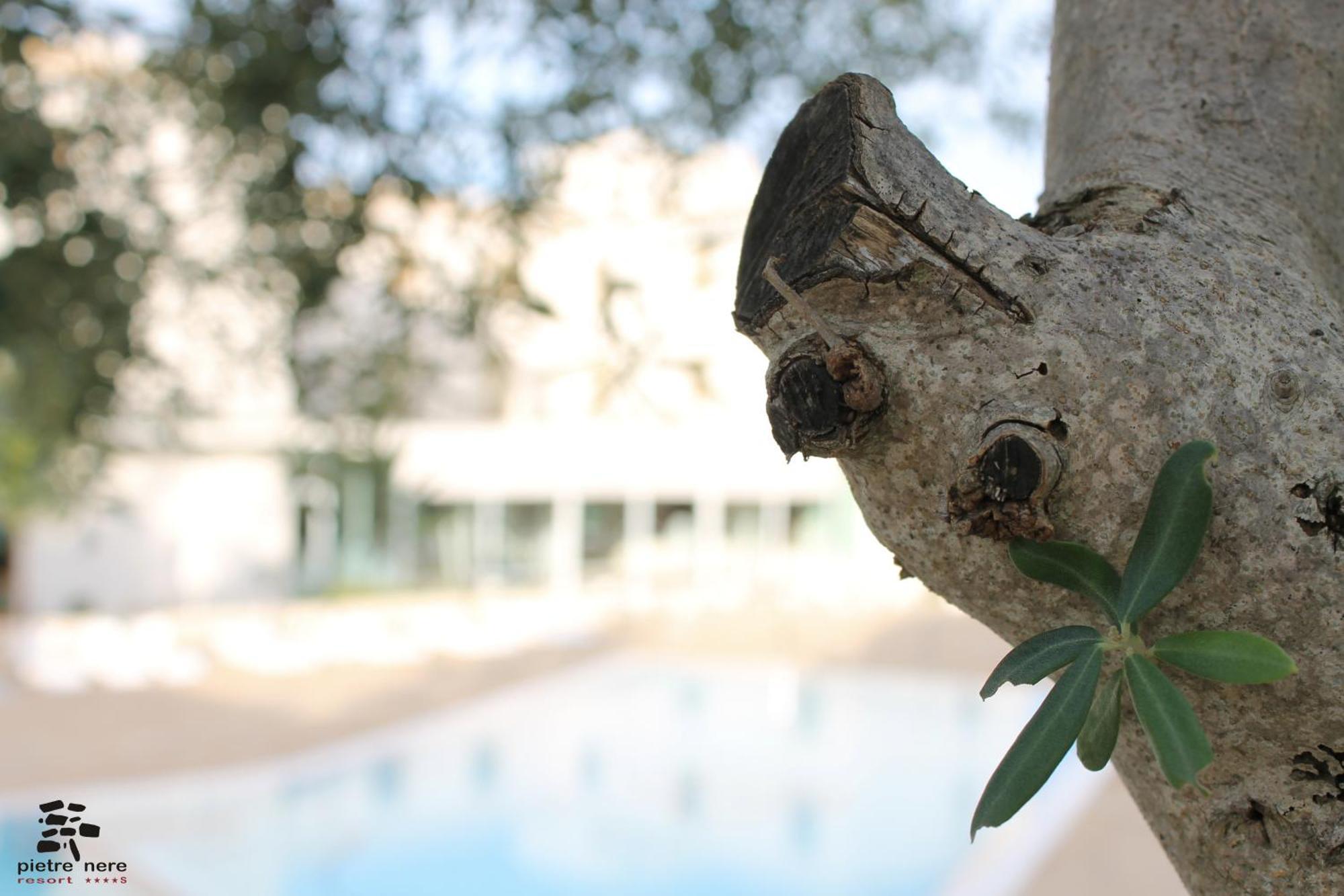 Pietre Nere Resort & Spa Modica Bagian luar foto